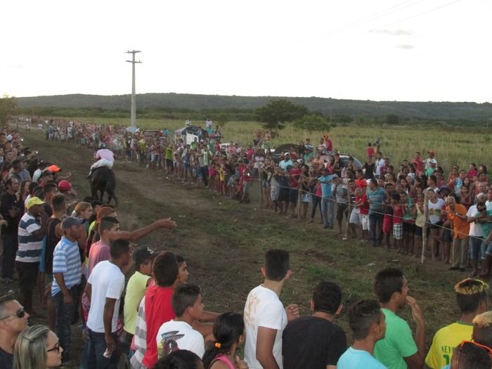 Tradicional Corrida de Cavalos de Olho D´Água do Piaui - Imagem 23