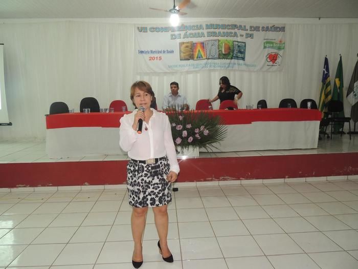 Água Branca realiza sétima edição da Conferência Municipal de Saúde - Imagem 10