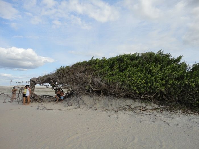 Advogado remediense se diverte em Jericoacara - Imagem 6