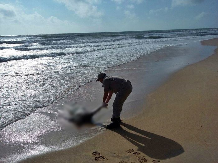 Corpo em estado de decomposição é encontrado na praia da Pedra do Sal - Imagem 2