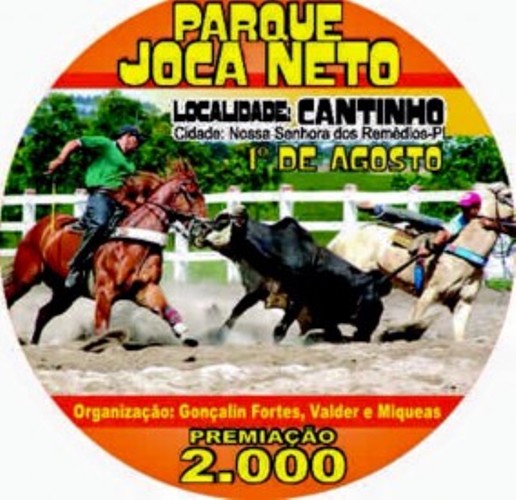 Grande vaquejada em N. S. dos Remédios - Imagem 1