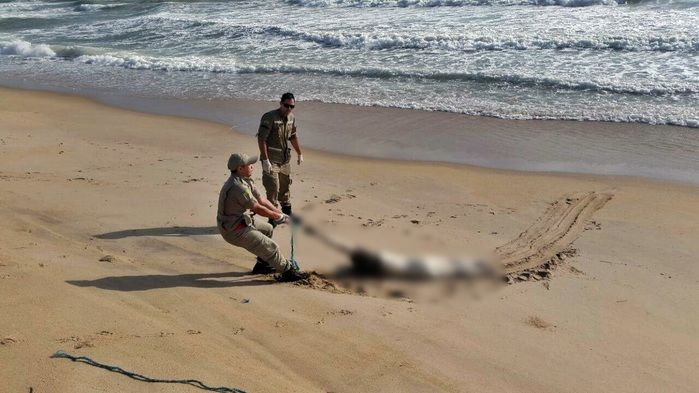 Corpo em estado de decomposição é encontrado na praia da Pedra do Sal - Imagem 3