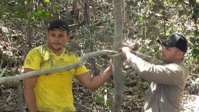 Equipe Marco Zero de Aventuras e Desbravadores DEL realizaram o primeiro Curso Básico de Bushcraft no Piauí.  - Imagem 12