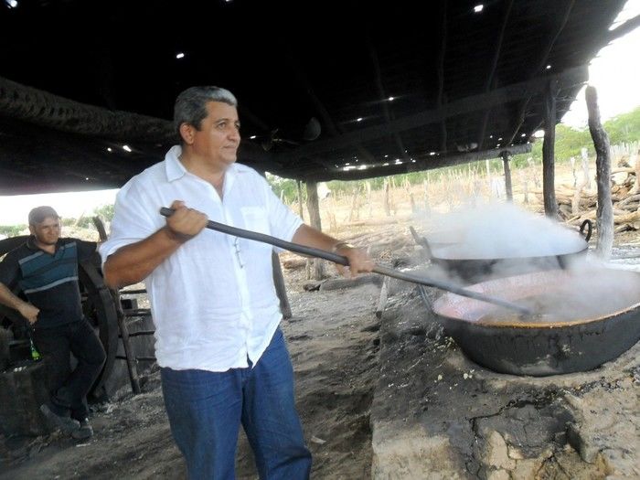 Boa Hora, Capital Nordestina da Rapadura e dos verdes canaviais - Imagem 9