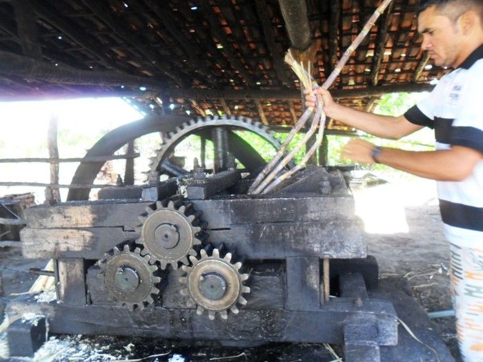 Boa Hora, Capital Nordestina da Rapadura e dos verdes canaviais - Imagem 5