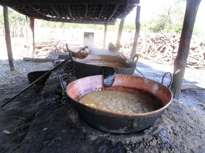 Boa Hora, Capital Nordestina da Rapadura e dos verdes canaviais - Imagem 1