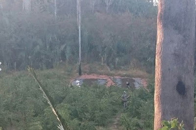 1680kg de Maconha prensada foram apreendidos em Fazenda em Miguel Leão - Imagem 4