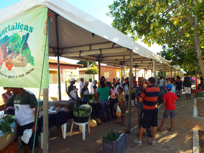 II Feira agroecologica - Imagem 4