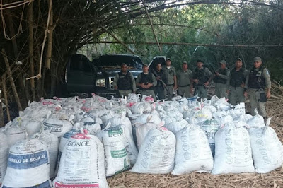 1680kg de Maconha prensada foram apreendidos em Fazenda em Miguel Leão - Imagem 1