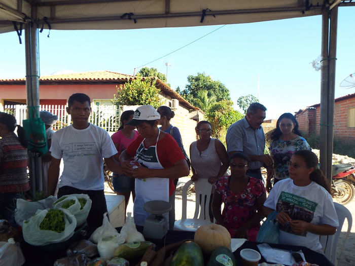 II Feira agroecologica - Imagem 6