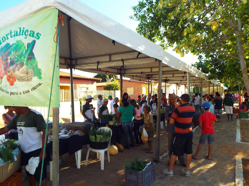 II Feira agroecologica
