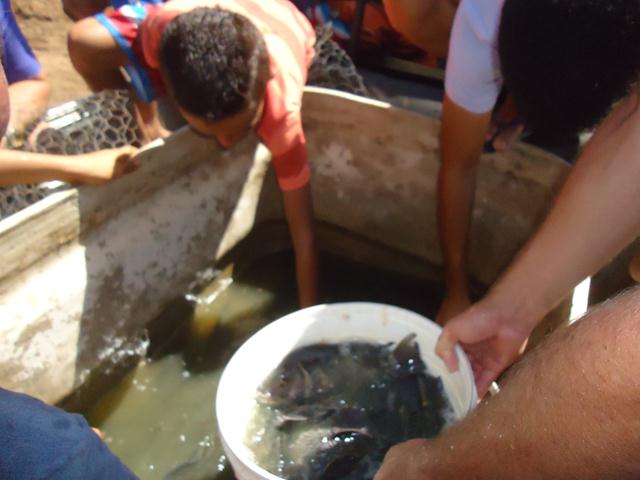 Dr. Zé Maria comemora com a População a Reforma do Tanque em Furta-Lhe a Volta - Imagem 29