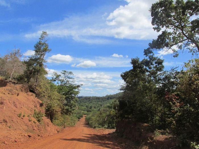 Prefeito Walter Alencar Inaugura Estrada Vicinal em Mangabeira - Imagem 2