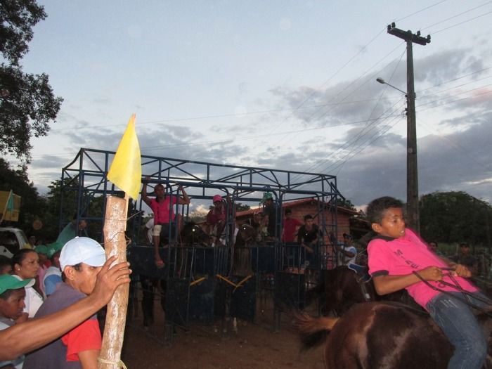Confira como Foi a Tradicional Corrida de Cavalos do Empresário Vanderley no Baixão dos Ribeiros - Imagem 38