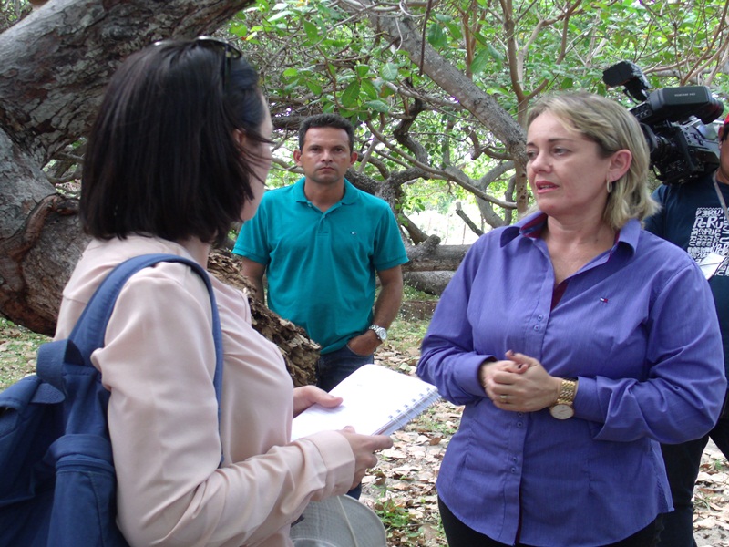 Rede Globo mostrou o Cajueiro-Rei, orgulho do povo de Cajueiro da Praia”, comemora prefeita Vânia Ribeiro