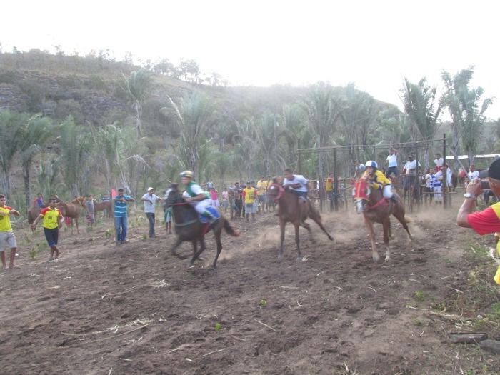 Confira a 4ª Corrida de Cavalos do Empresário Vanderley em Miguel Leão - Imagem 13