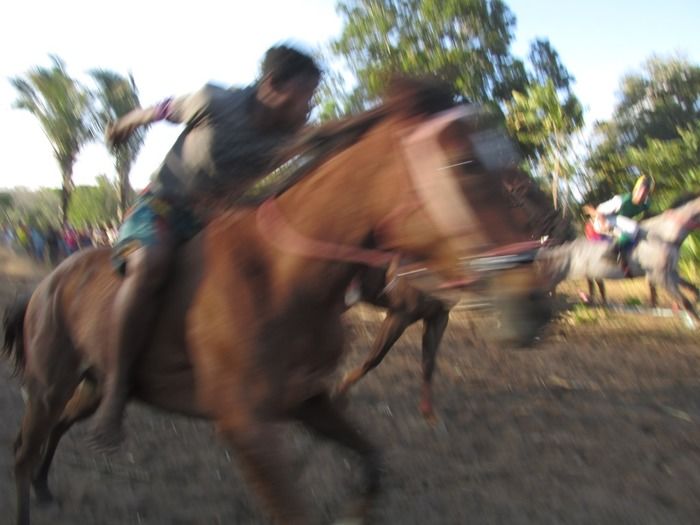 Confira a 4ª Corrida de Cavalos do Empresário Vanderley em Miguel Leão - Imagem 20