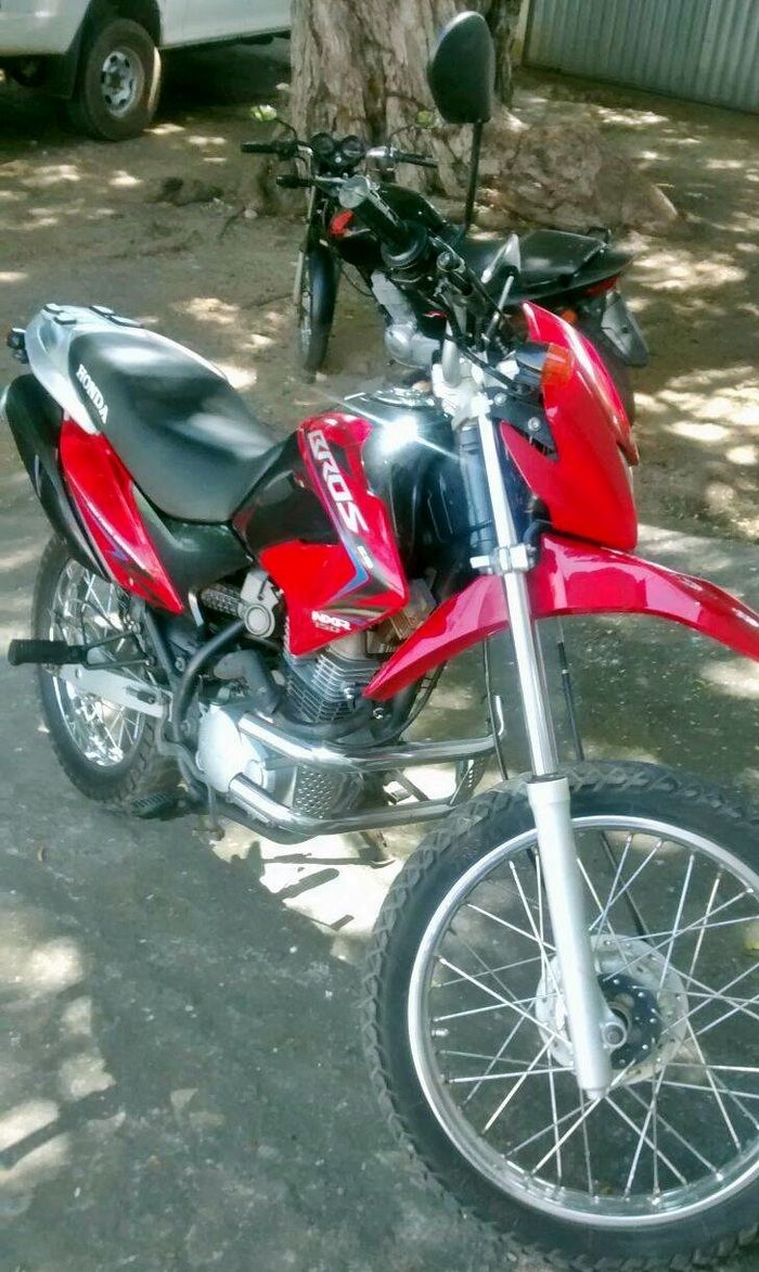 Homem é baleado durante assalto, reage e mata bandido no norte do Piauí - Imagem 5