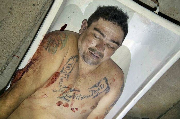 Homem é baleado durante assalto, reage e mata bandido no norte do Piauí - Imagem 4