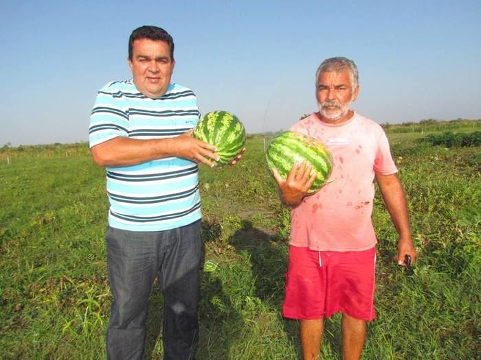 Prefeitura de Barras incentiva produtores da zona rural com reativação de campo agrícola - Imagem 2