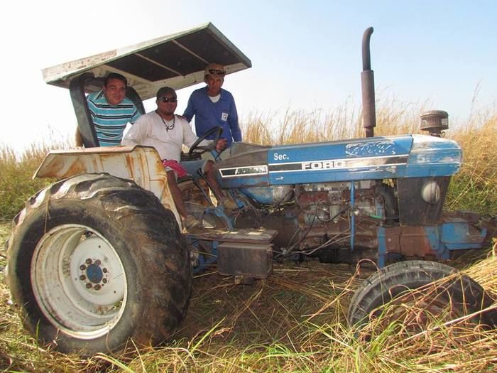 Prefeitura de Barras incentiva produtores da zona rural com reativação de campo agrícola - Imagem 7