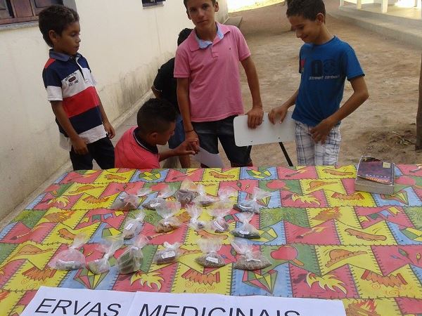  Escolas do município de Santo Inácio comemoram dia do folclore - Imagem 18