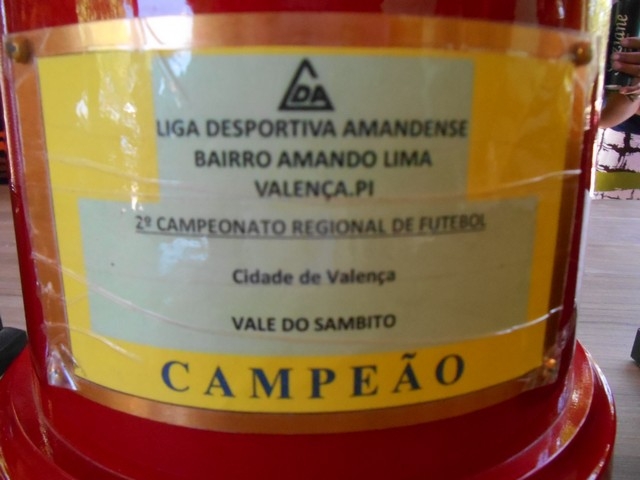 O Campeão Voltou Equipe dos Dragões Comemoram mais Um Título - Imagem 1