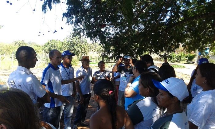 Produtores rurais de Oeiras participam de capacitação em hortas orgânicas - Imagem 11