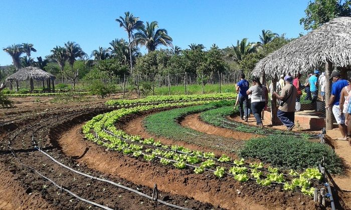 Produtores rurais de Oeiras participam de capacitação em hortas orgânicas - Imagem 1