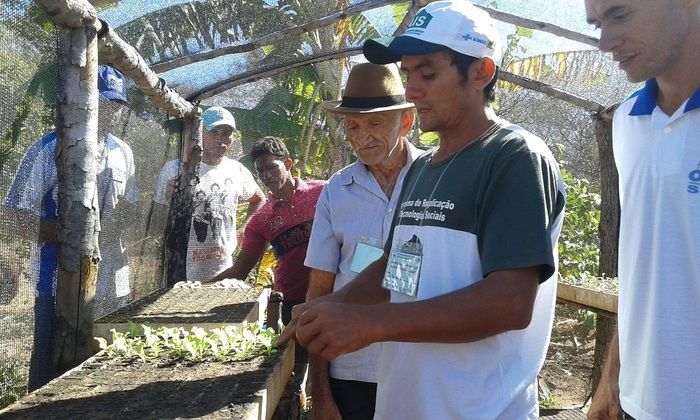 Produtores rurais de Oeiras participam de capacitação em hortas orgânicas - Imagem 3