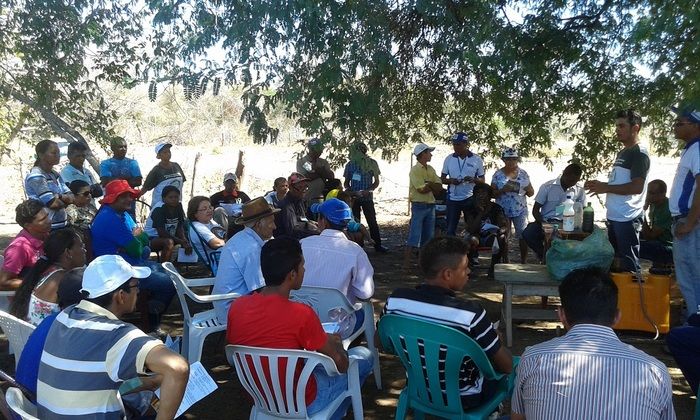 Produtores rurais de Oeiras participam de capacitação em hortas orgânicas - Imagem 16