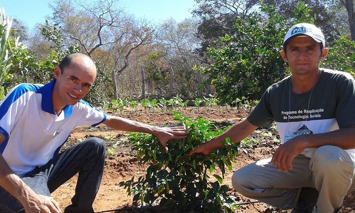 Produtores rurais de Oeiras participam de capacitação em hortas orgânicas - Imagem 12