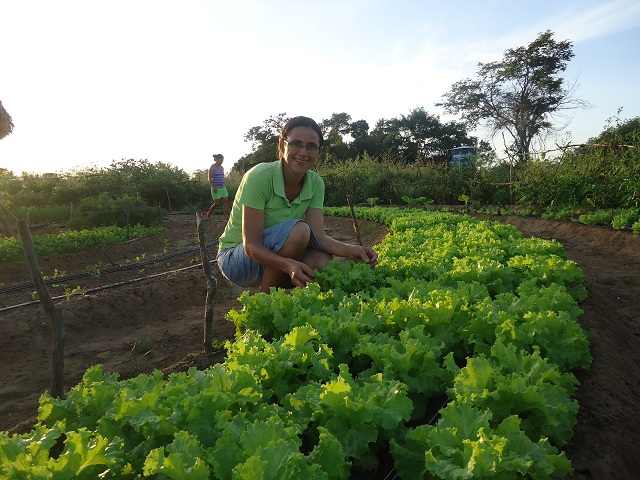 Feira de produtos orgânicos acontece em Oeiras - Imagem 3