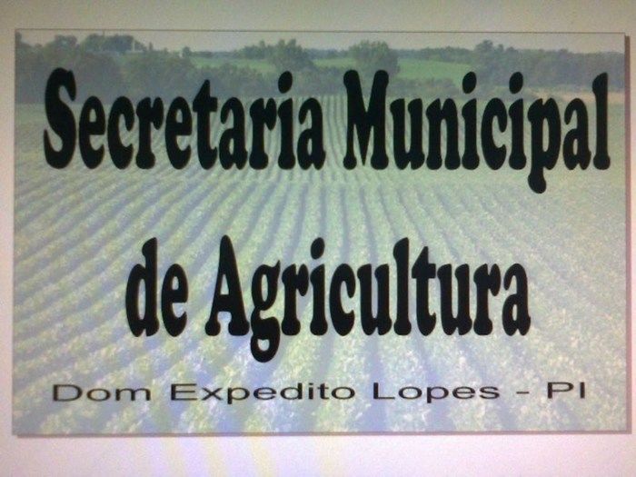 Poliesportivo Tio Zé em Dom Expedito Lopes sedia 1ª Copa Del de Jiu-Jitsu  - Imagem 141