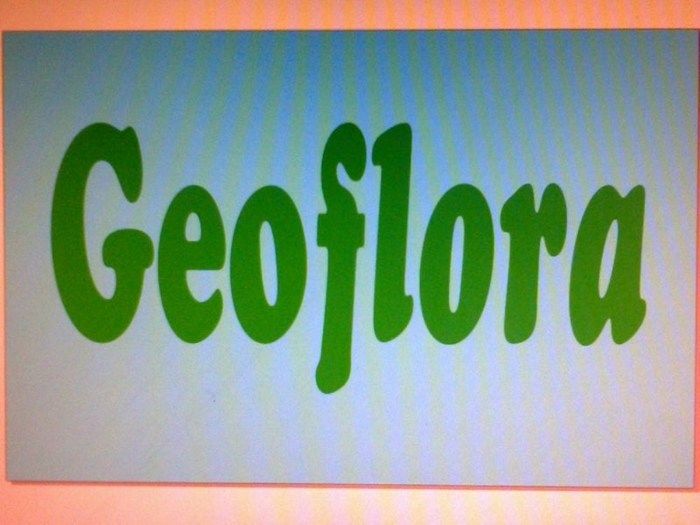 Poliesportivo Tio Zé em Dom Expedito Lopes sedia 1ª Copa Del de Jiu-Jitsu  - Imagem 126