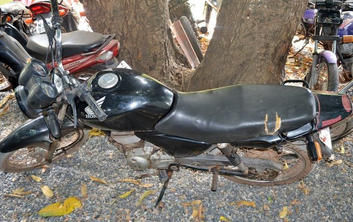 “Operação Nunes” cumpre mandados e apreende drogas no norte do PI - Imagem 6