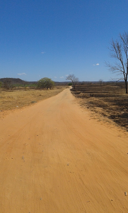 Mais vias de acesso serão pavimentadas em Oeiras - Imagem 6