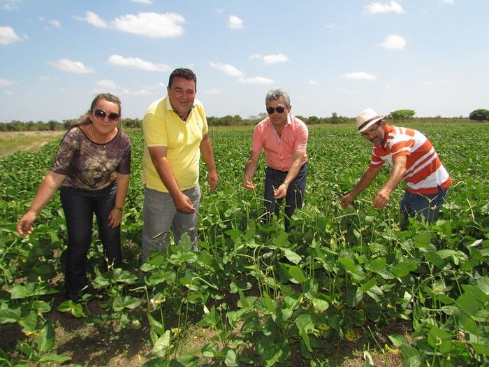 Barras 174 anos: Hasteamento das bandeiras dão inicio a semana cultural  - Imagem 12