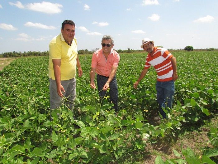 Barras 174 anos: Hasteamento das bandeiras dão inicio a semana cultural  - Imagem 8