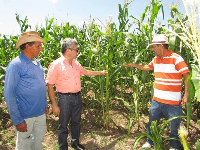 Barras 174 anos: Hasteamento das bandeiras dão inicio a semana cultural  - Imagem 10