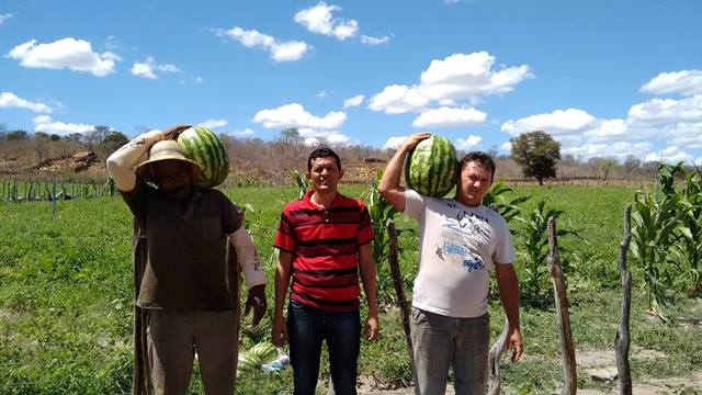 Programa de Aquisição de Alimentos é realidade em Pimenteiras  - Imagem 1