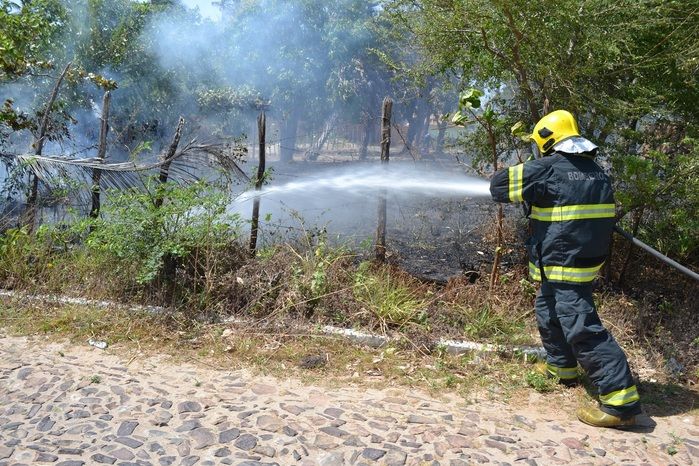 Incêndio em terreno abandonado atinge residência no litoral do Piauí - Imagem 7