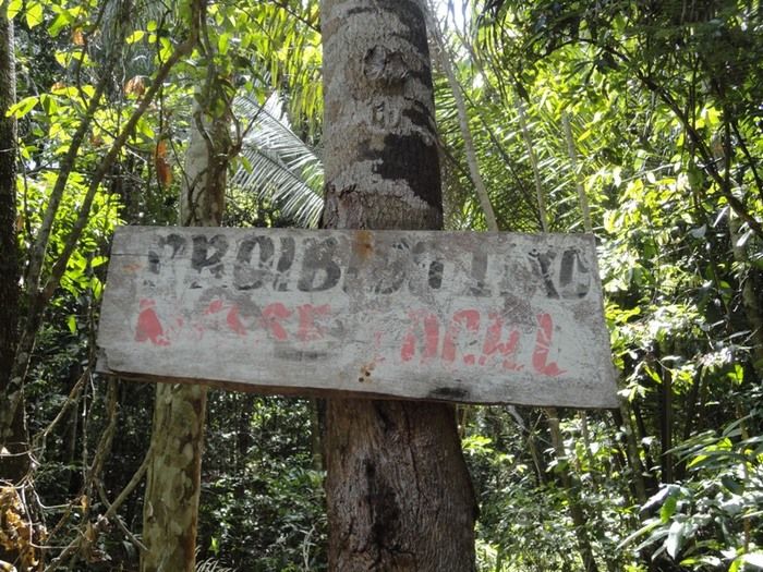 Única fonte de água natural pode secar - Imagem 22