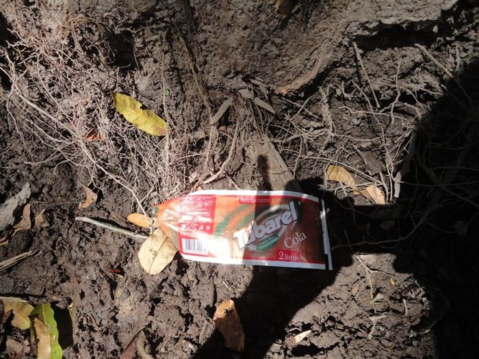 Única fonte de água natural pode secar - Imagem 4