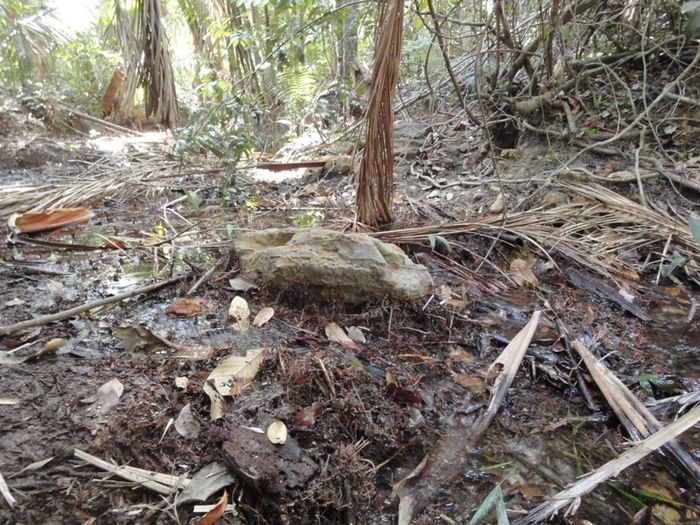 Única fonte de água natural pode secar - Imagem 9