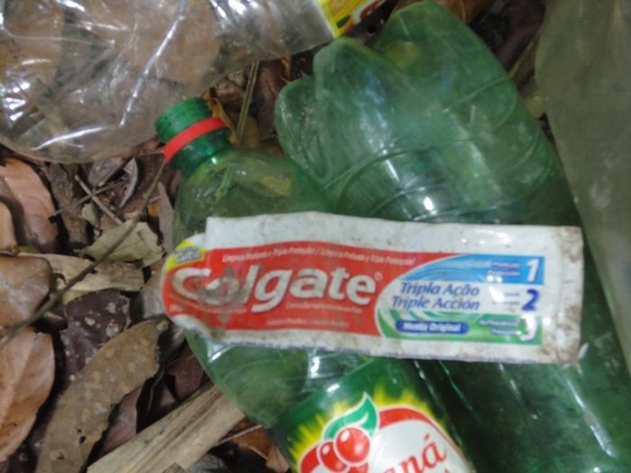 Única fonte de água natural pode secar - Imagem 14