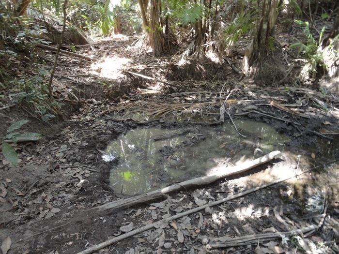 Única fonte de água natural pode secar - Imagem 10