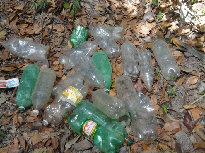 Única fonte de água natural pode secar - Imagem 13