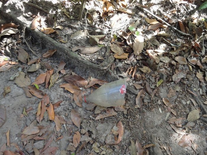 Única fonte de água natural pode secar - Imagem 7