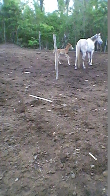 Vereador Jocione de Agricolândia recebe amigos em sua residência - Imagem 8